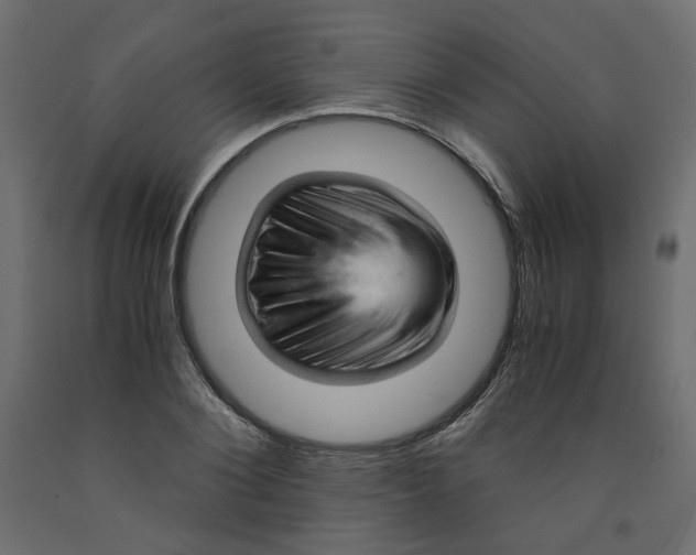 X0000091960884200710041026