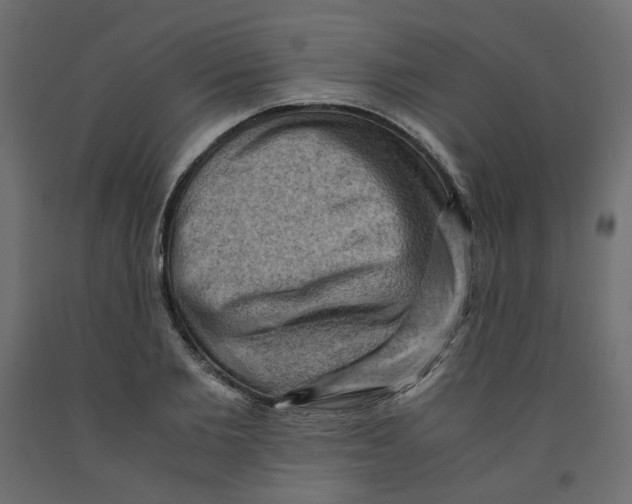 X0000091960885200710041026