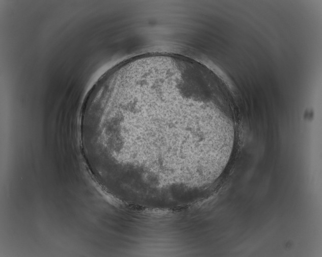 X0000091960886200710041026