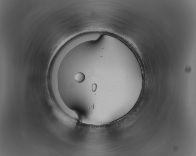 X0000091960887200710041026