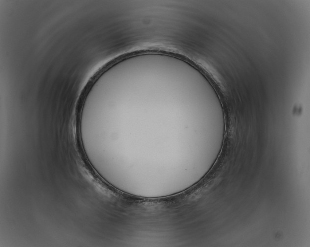 X0000091960888200710041026