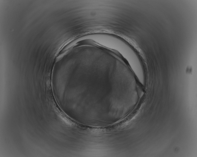 X0000091960889200710041026