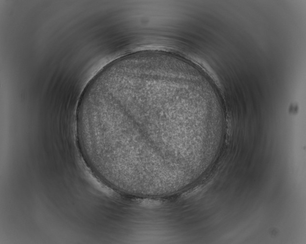 X0000091960890200710041026