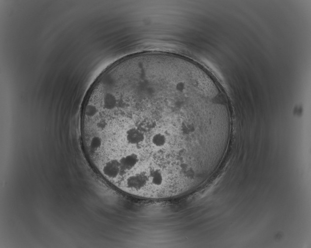 X0000091960891200710041026