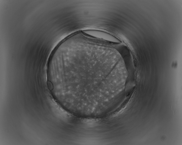 X0000091960892200710041026