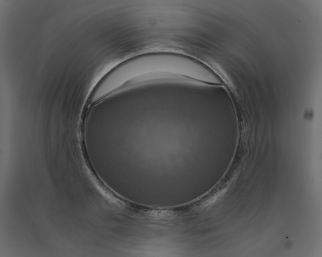 X0000091960893200710041026