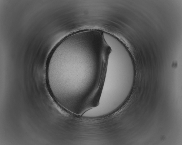 X0000091960894200710041026