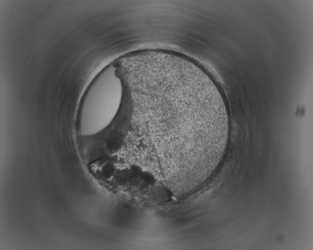 X0000091960895200710041026