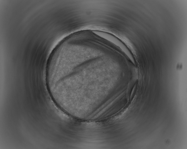 X0000091960896200710041026
