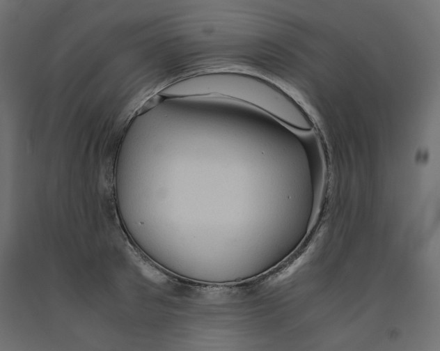 X0000091960897200710041026