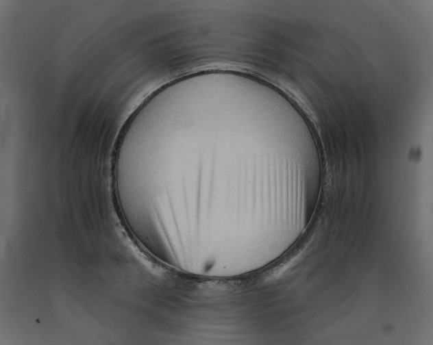 X0000091960898200710041026