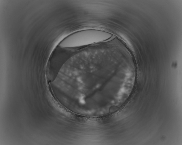 X0000091960899200710041026