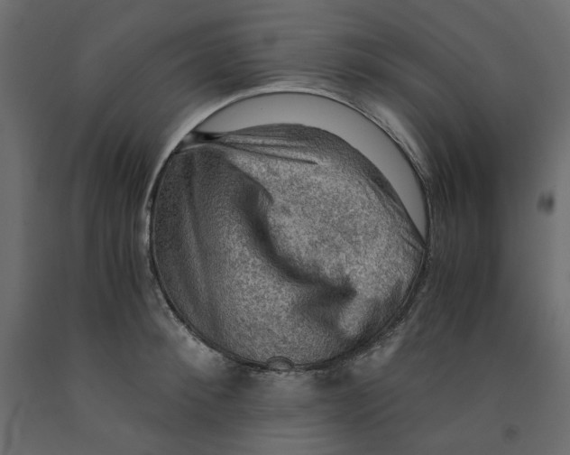 X0000091960900200710041026