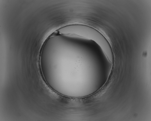 X0000091960901200710041026