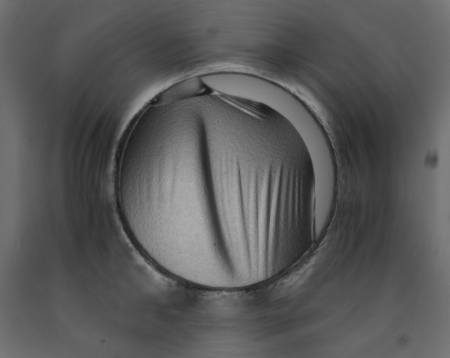 X0000091960902200710041026