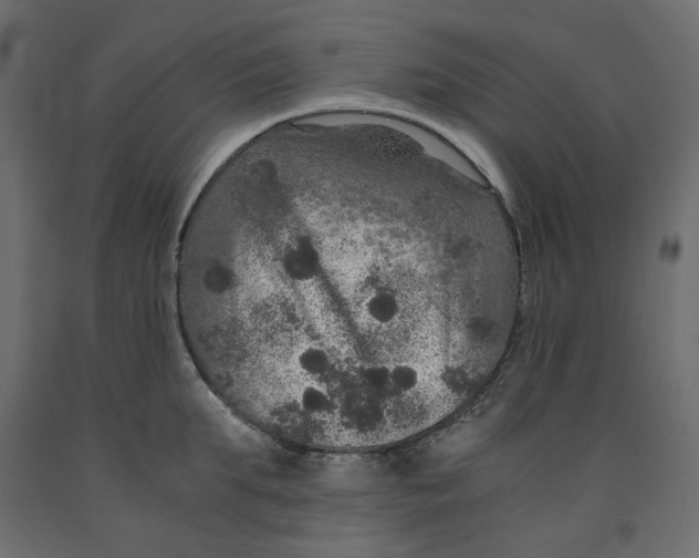 X0000091960903200710041026