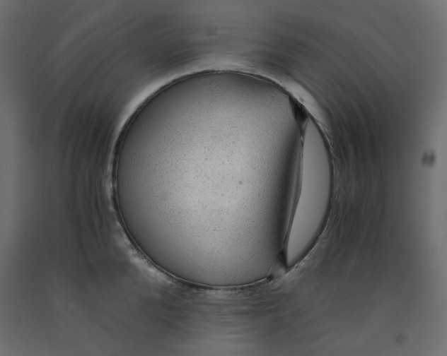 X0000091960904200710041026