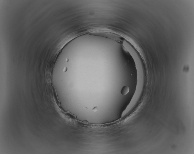X0000091960905200710041026