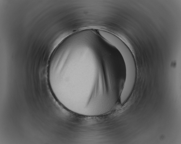 X0000091960906200710041026