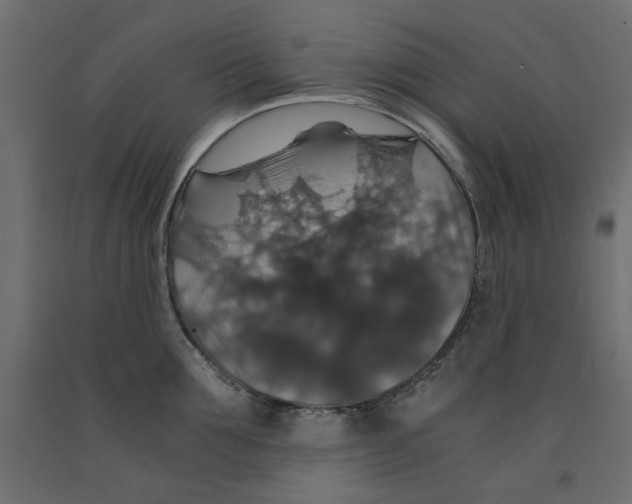 X0000091960907200710041026