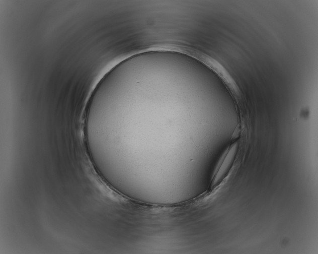 X0000091960908200710041026