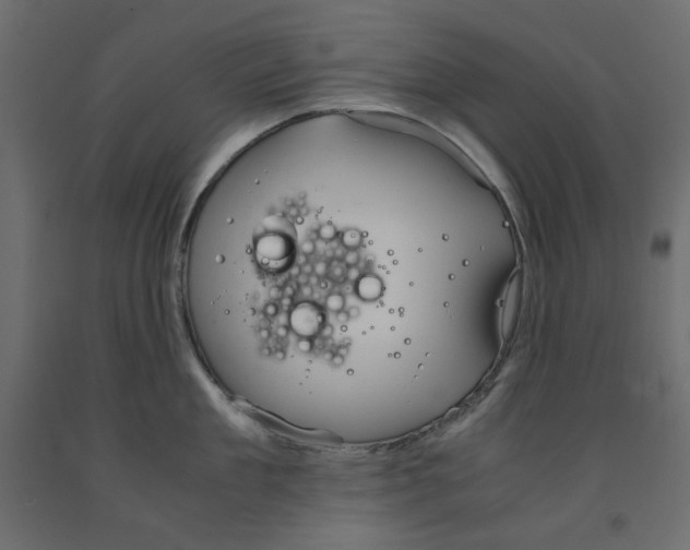 X0000091960909200710041026