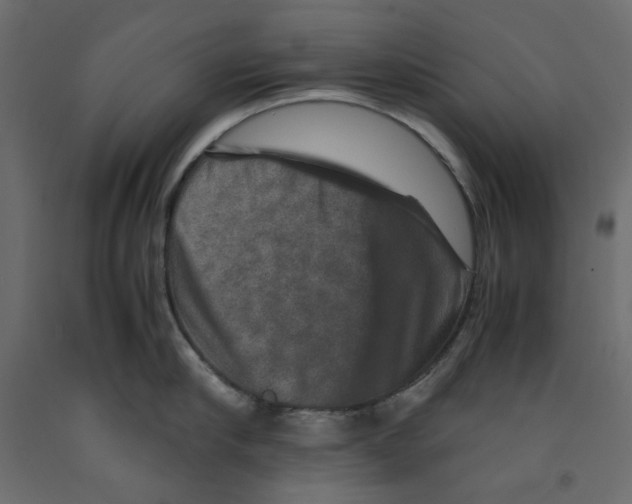 X0000091960910200710041025