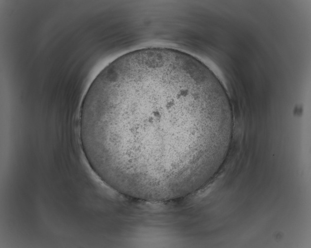 X0000091960911200710041025