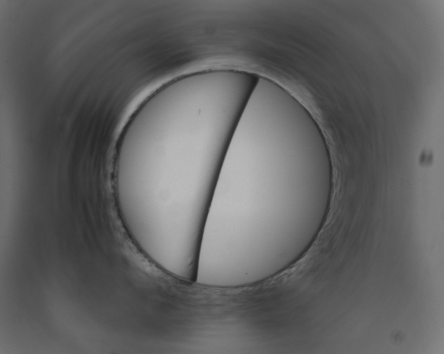 X0000091960912200710041025