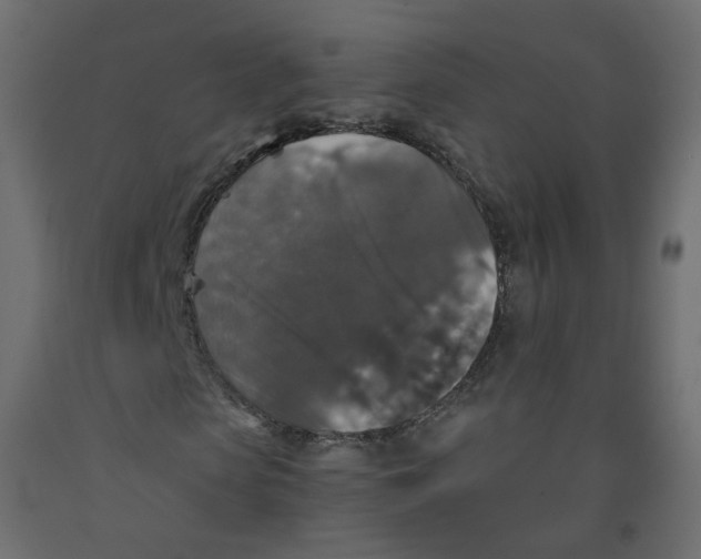 X0000091960913200710041025