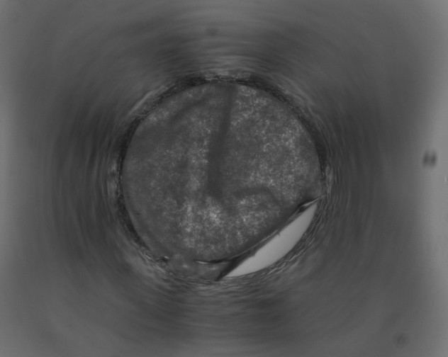 X0000091960915200710041025