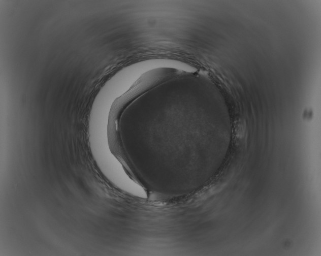 X0000091960916200710041025