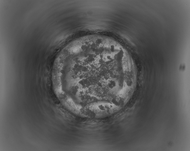 X0000091960917200710041025