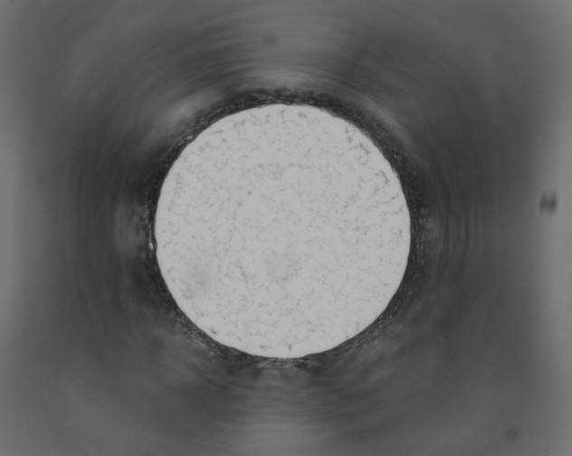 X0000091960918200710041025