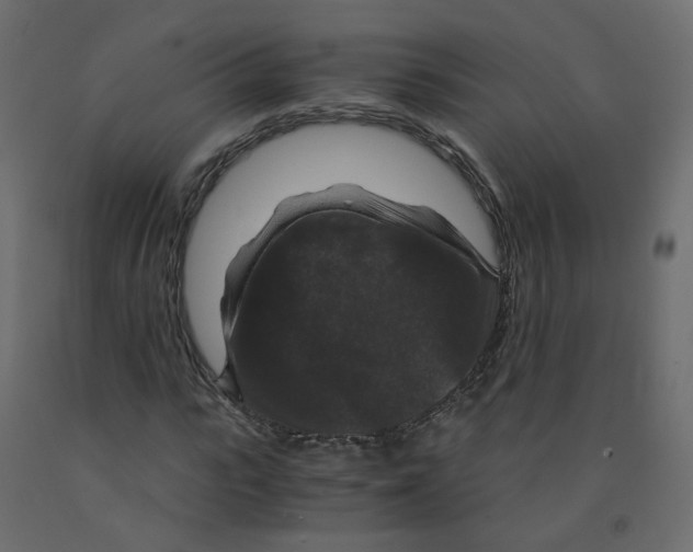 X0000091960919200710041025