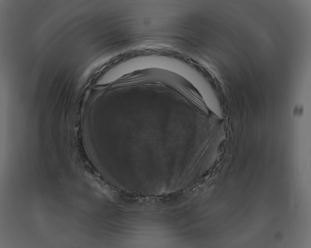 X0000091960920200710041025