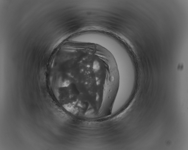 X0000091960921200710041025