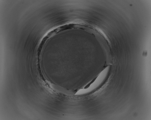 X0000091960923200710041025