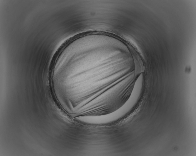 X0000091960924200710041025