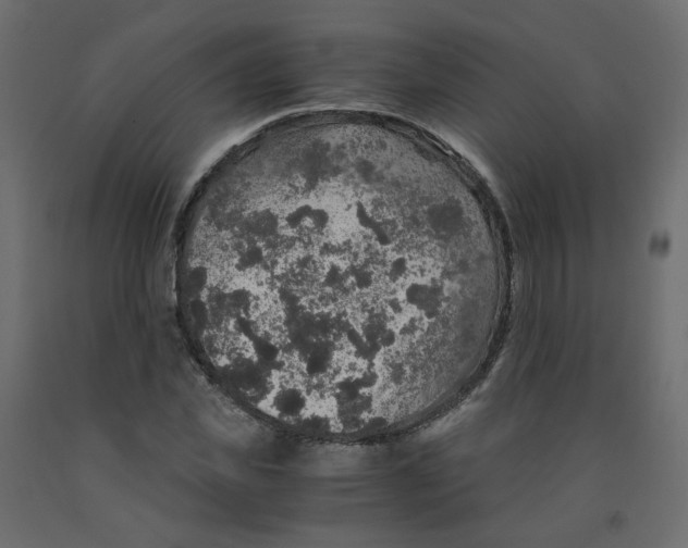X0000091960925200710041025