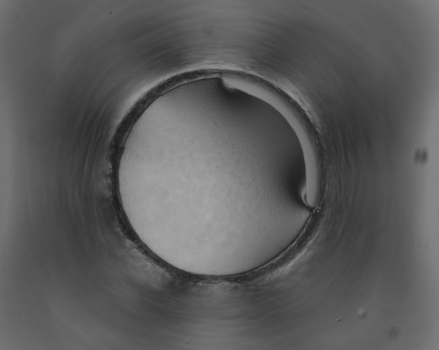 X0000091960926200710041025