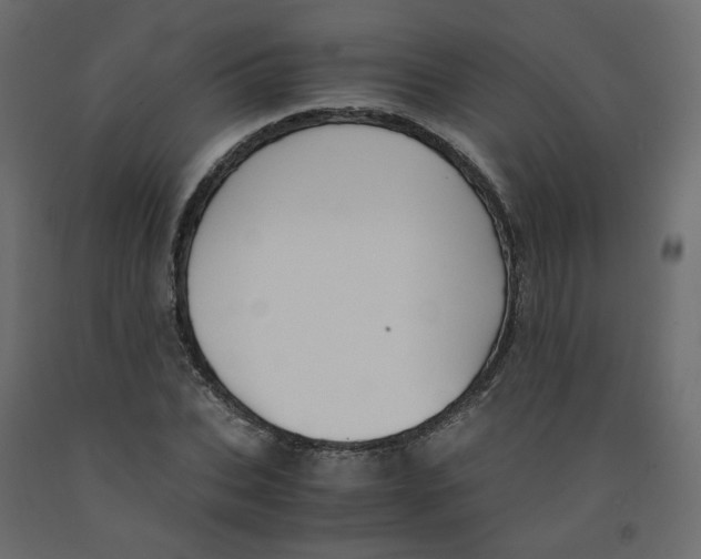 X0000091960927200710041025