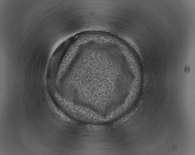 X0000091960928200710041025