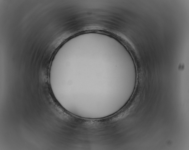 X0000091960929200710041025
