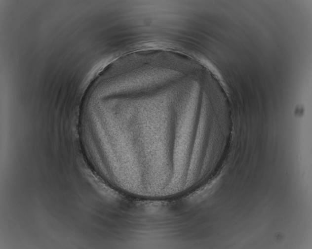 X0000091960930200710041025