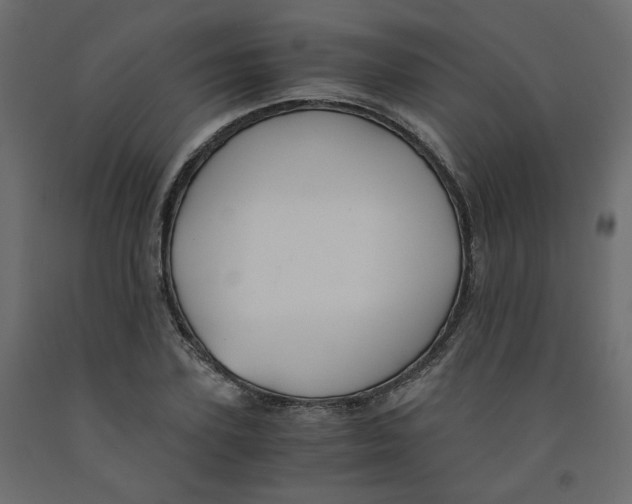 X0000091960931200710041025