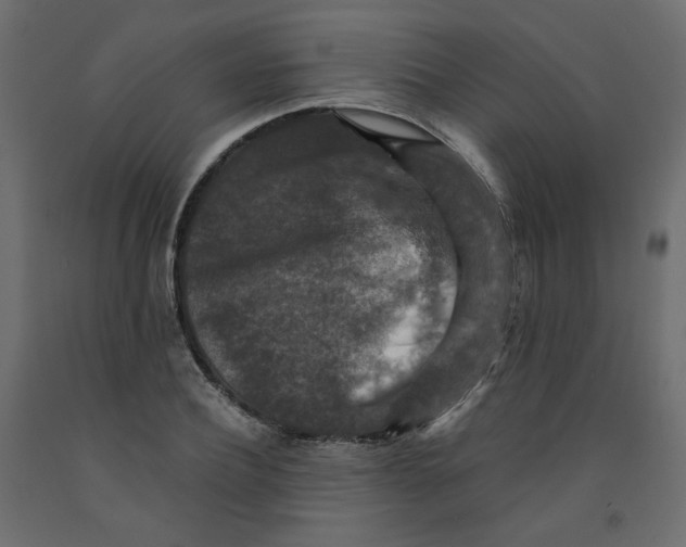 X0000091960932200710041025