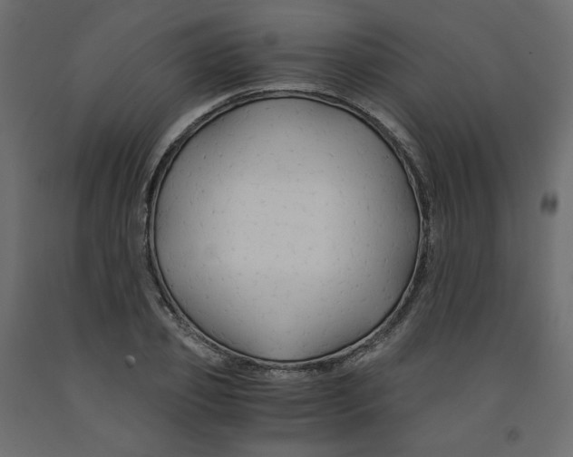 X0000091960933200710041025