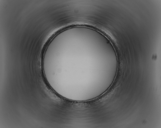 X0000091960934200710041025