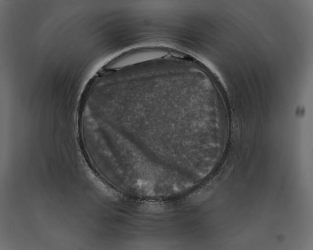X0000091960935200710041025
